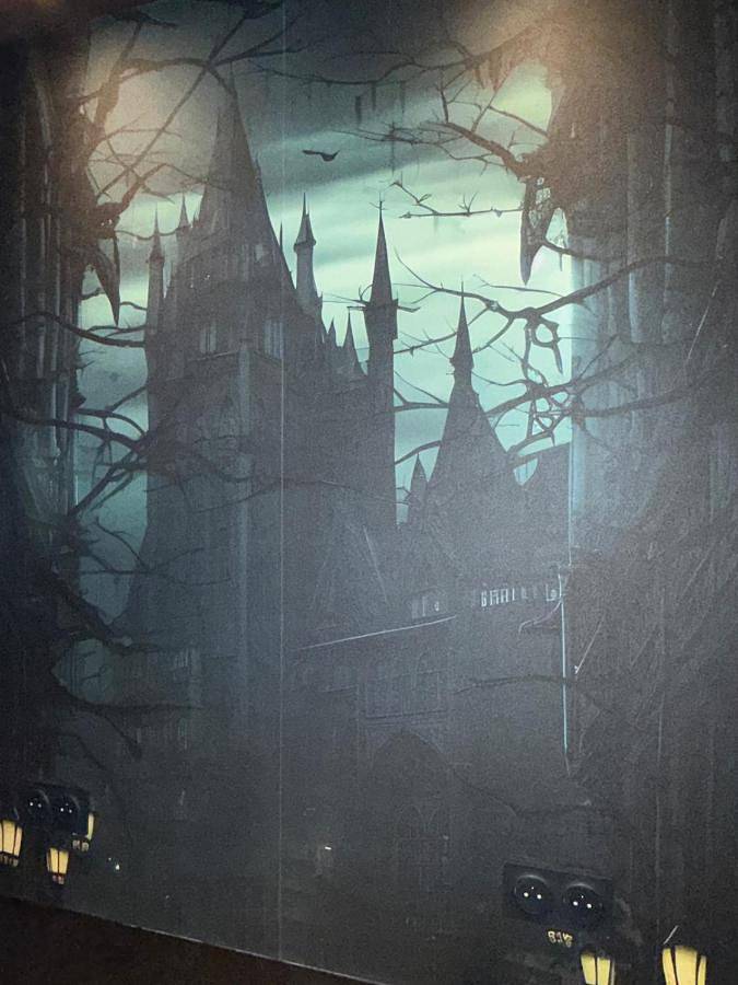 Gîte pour 2 personnes, avec jacuzzi à Chamalières - 3