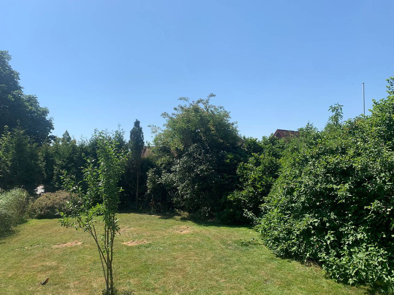 Ferienwohnung Thöne - Ferienwohnung 1-3 Pers. (45 qm) in Horstmar, Münsterland