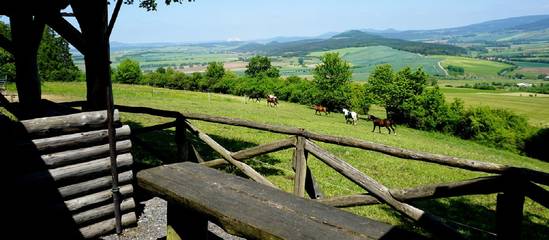 Bauernhof für 7 Personen in Geisa, Thüringische Rhön, Bild 4