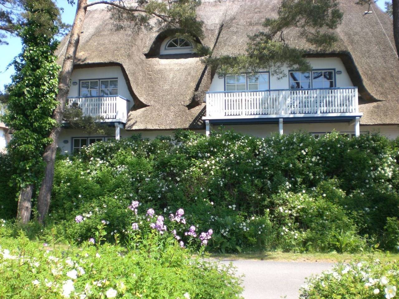 Ganze Wohnung, Appartement Achtern-Diek-am-Strand in Zingst in Müggenburg, Zingst