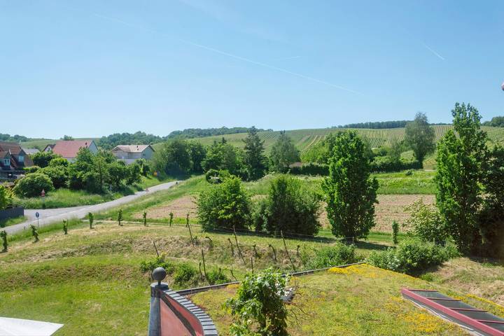 Apartment 'Weingut Hirn &Hundertwasser-Artikel' with Mountain View, Shared Garden and Wi-Fi in Estenfeld, Franconian Wine Country