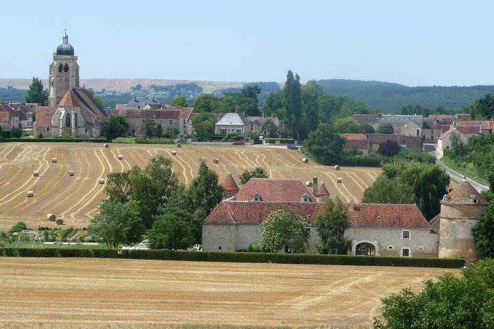 Château pour 14 personnes, avec jardin en Bourgogne