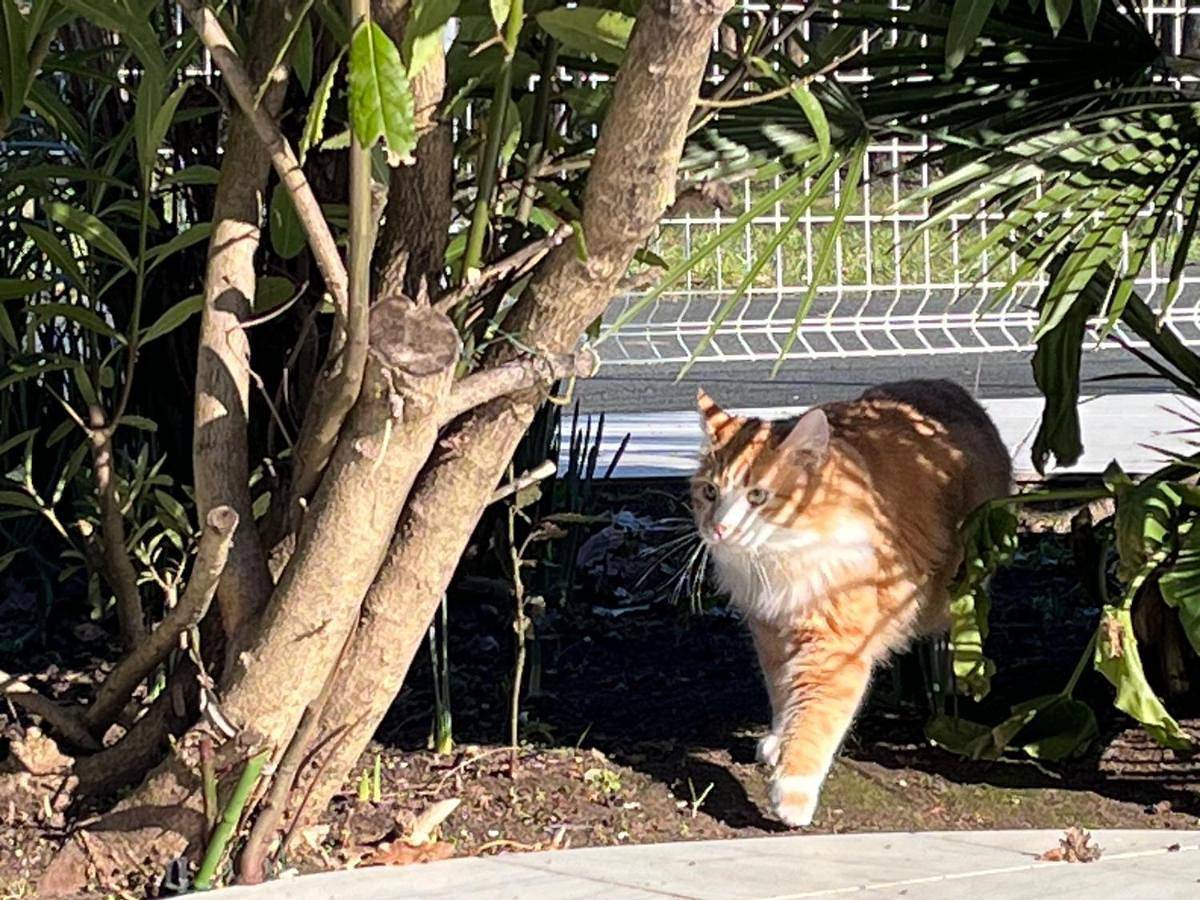Villa de l’Eguille in L'Éguille, Côte de Beauté