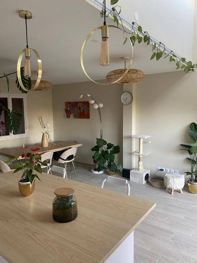 Location de vacances pour 5 personnes, avec jacuzzi et terrasse à Saint-Germain-lès-Arpajon - 2