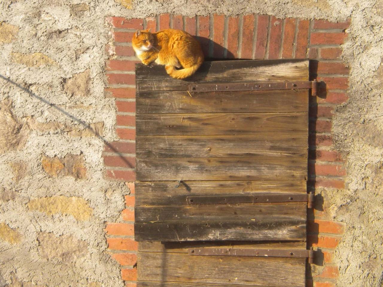 Ferienhof Knöll in Lindenfels, Bergstraße