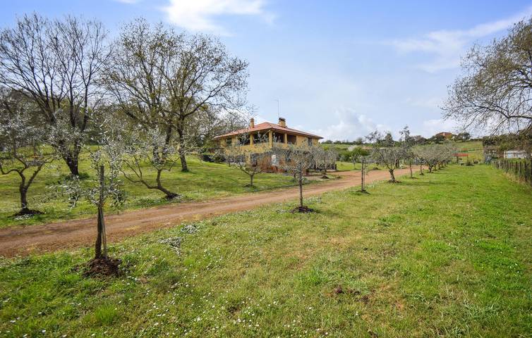Ganze Ferienwohnung, Gemütliches Apartment in Monterosi mit WLAN, Klimaanlage, Parkplatz und Terrasse in Monterosi, Braccianosee