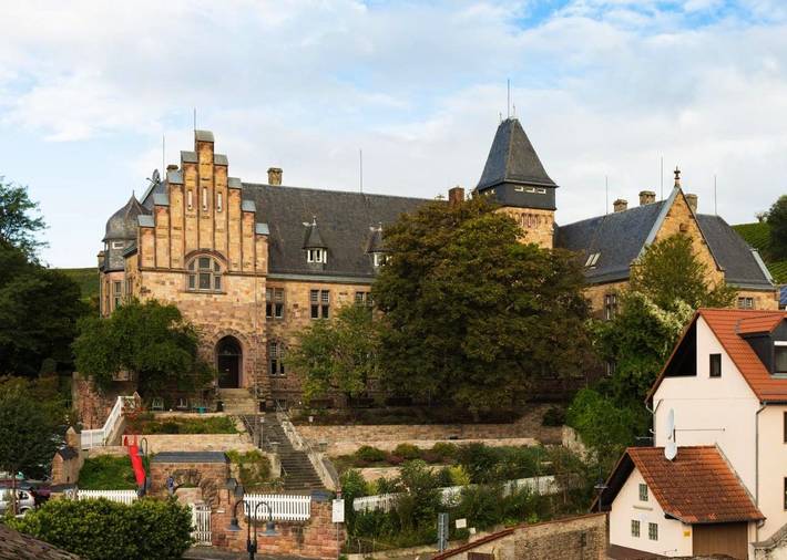 Hôtel, avec Terrasse ainsi que Jardin et Vue