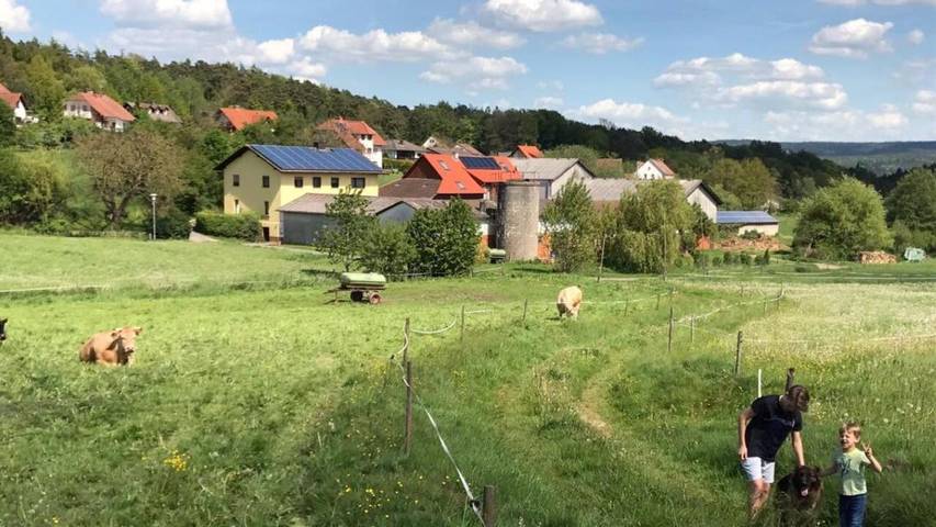 Ferienwohnung für 4 Personen, mit Terrasse und Garten sowie Sauna in Erbach im Odenwald - 3