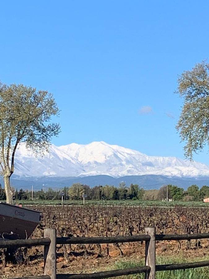 Gîte pour 4 personnes, avec terrasse et vue à Alénya - 2