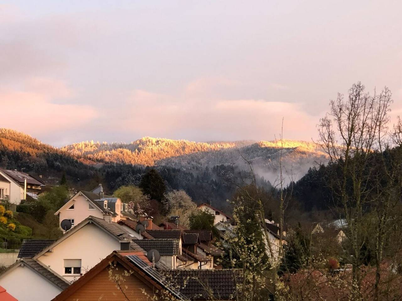 Ganze Ferienwohnung, Haus am Weinberg - Ferienwohnung Wald, 75qm mit 2 Schlafzimmer für max. 5 Gäste in Sulzburg, Südschwarzwald