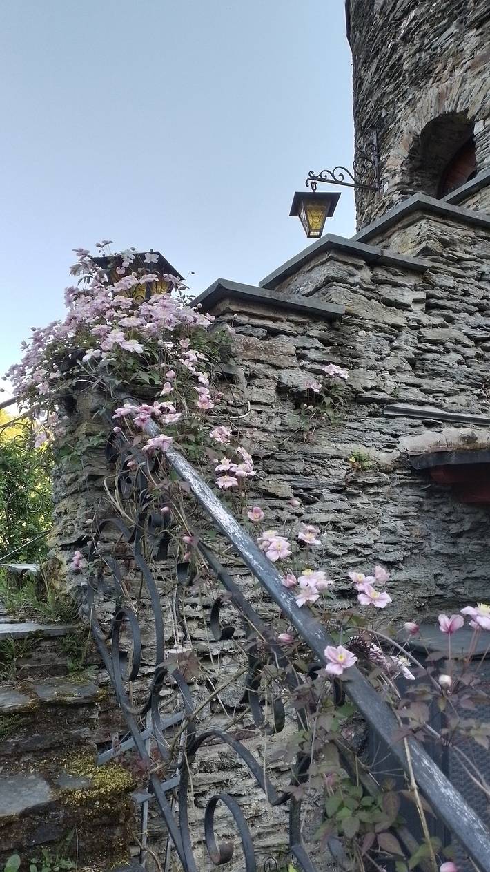Maison de vacances 'Ferienwohnung Im Hexenturm' avec vue sur la montagne, terrasse et jardin privés in Lorch, Arrondissement de Rheingau-Taunus