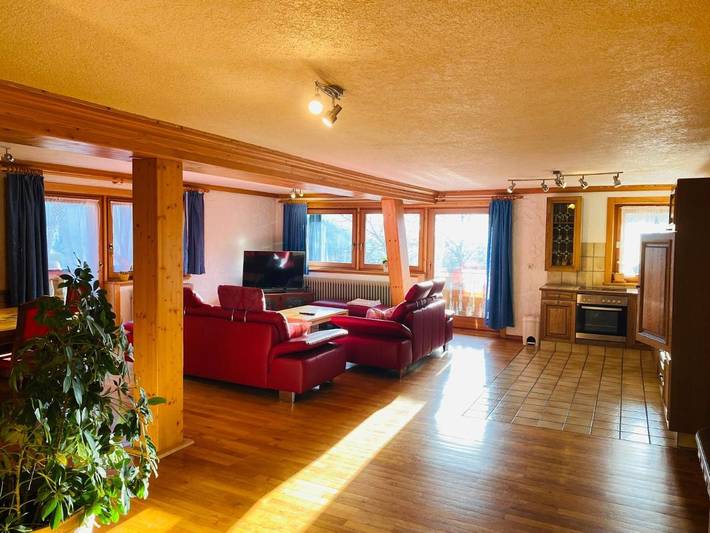 Ferienwohnung für 4 Personen, mit Balkon und Terrasse sowie Garten und Sauna in Fröhnd - 2