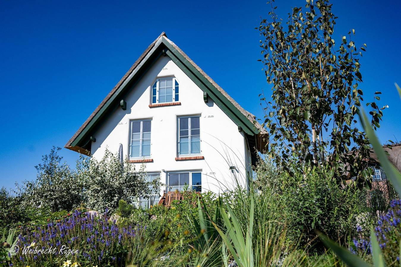 Ferienhaus Puddewohl in Puddemin, Poseritz