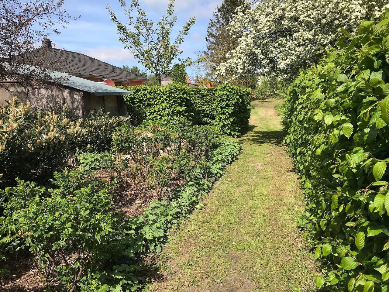 Ganze Ferienwohnung, Ferienhäuser Michaelis 9 und 10 in Morgenitz in Morgenitz, Mellenthin