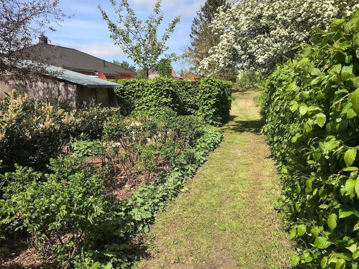 Ferienwohnung für 5 Personen, mit Garten, kinderfreundlich in Mellenthin - 3