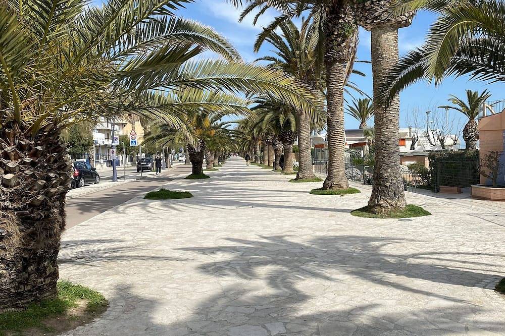 Entire apartment, Sea Front Apartment in Riviera delle Palme