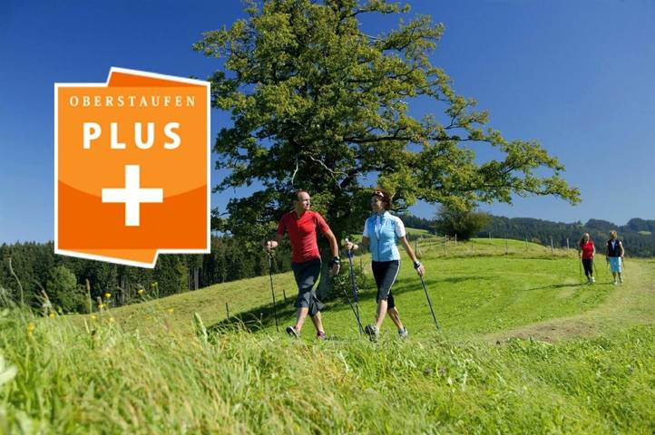 Hütte für 2 Personen, mit Pool und Sauna sowie Garten in Oberstaufen - 3