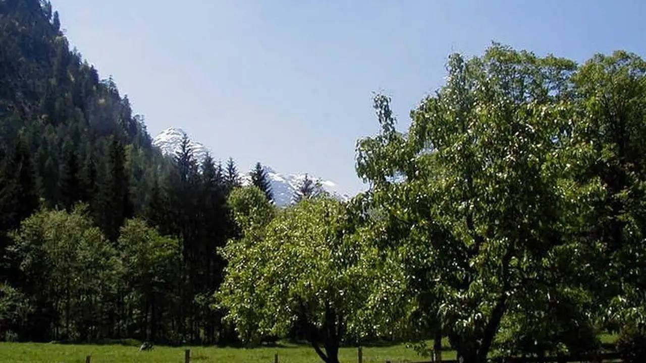 Ganze Ferienwohnung, Ferienwohnung für 6 Personen (70 m²) in St. Martin b. Lofer in Sankt Martin bei Lofer, Pinzgau