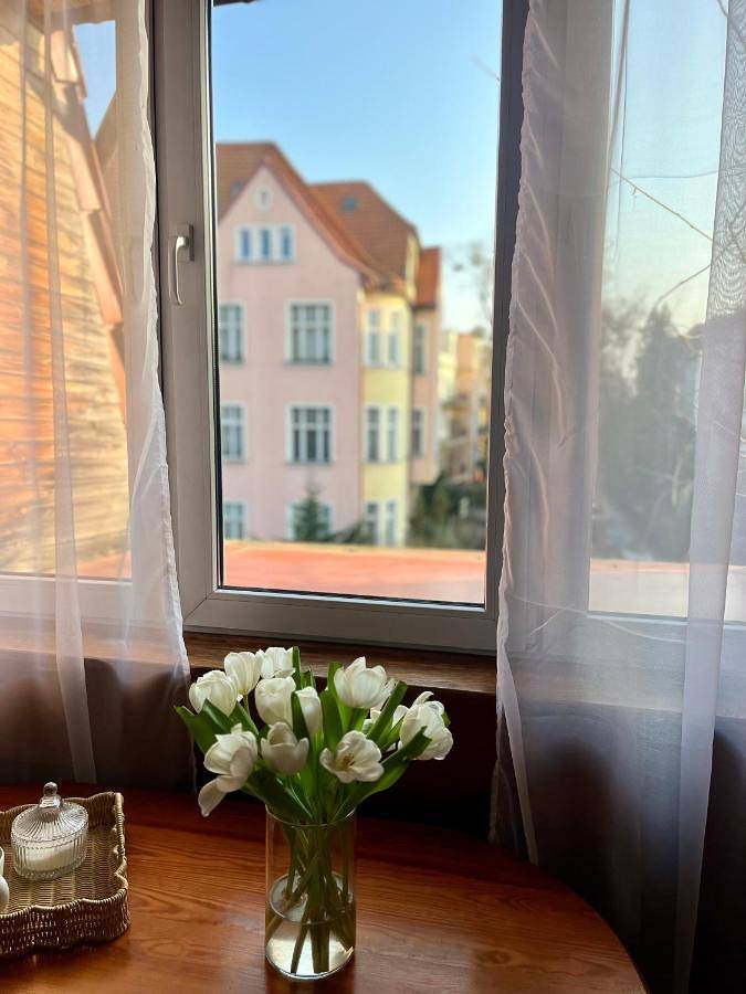 Villa Agapella 250m from the beach - Agapella Apartamemty in Sopot, Zatoka Gdańska