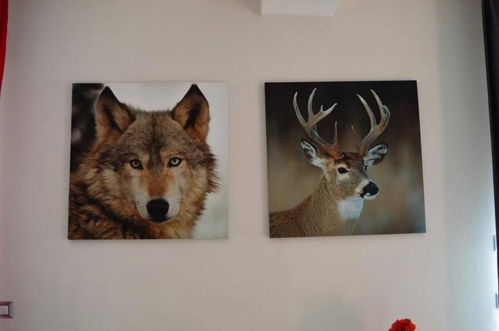 Location de vacances pour 5 personnes, avec jardin et vue, animaux acceptés dans Alpe Devero - 3