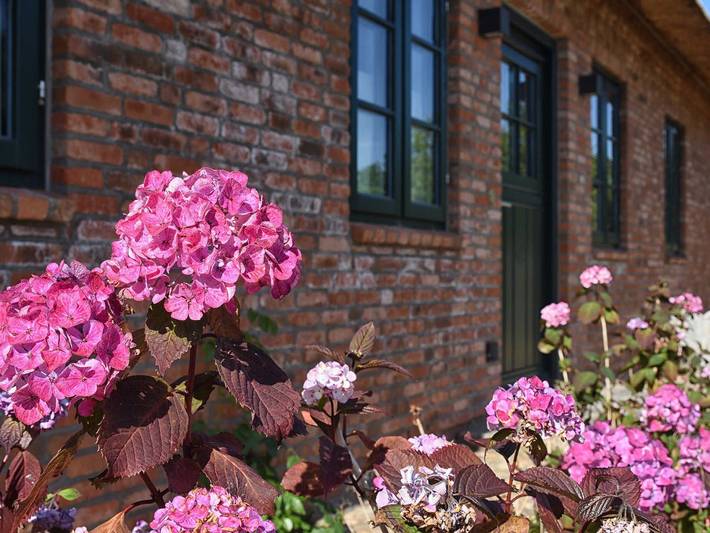 Ferienhaus für 7 Personen, mit Garten und Sauna sowie Terrasse in Oevenum - 2