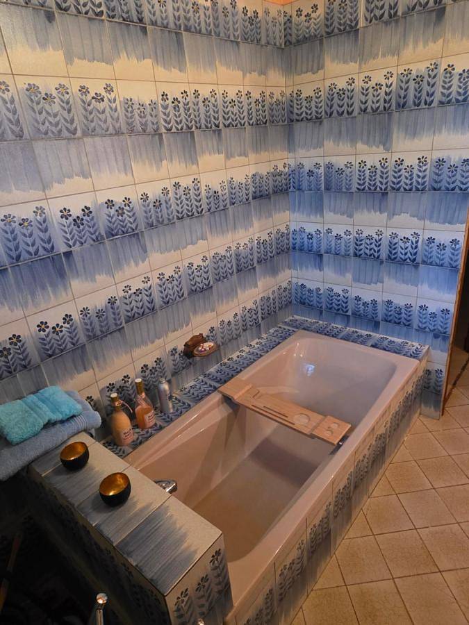 Location de vacances pour 2 personnes, avec jacuzzi et jardin à Anneyron - 4