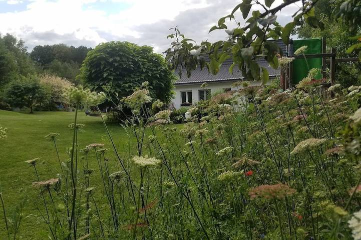 Bungalow für 60 Personen in Ungarn - 2