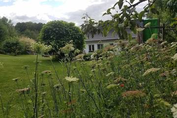 Bungalow für 60 Personen in Békés megye, Südliche Große Tiefebene, Bild 1