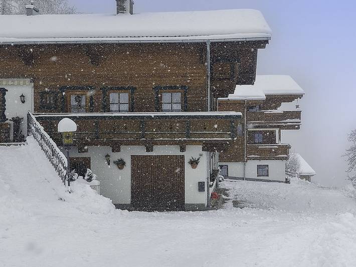 Ferienwohnung für 10 Personen, mit Seeblick und Terrasse sowie Garten in Zell am See
