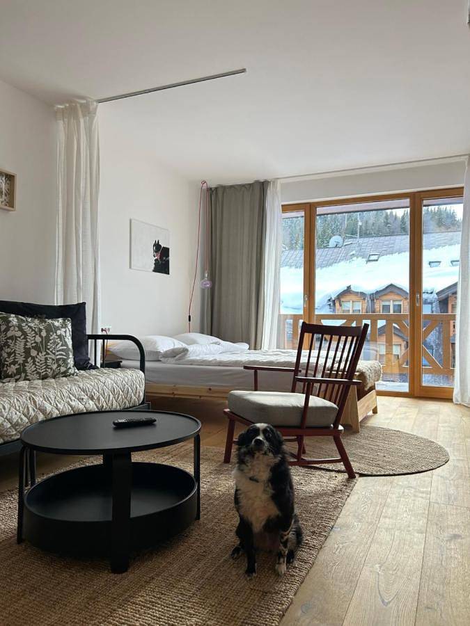 Aparthotel para 4 pessoas, com sauna e terraço e ainda jacuzzi, com animais de estimação - 1