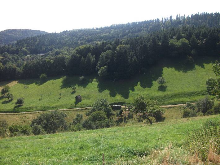 Gîte pour 4 personnes, avec jardin, animaux acceptés dans le Haut-Rhin - 3