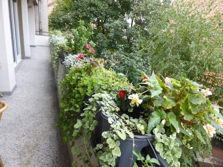 Apartamento para 4 personas, con terraza y vistas en Belgrado