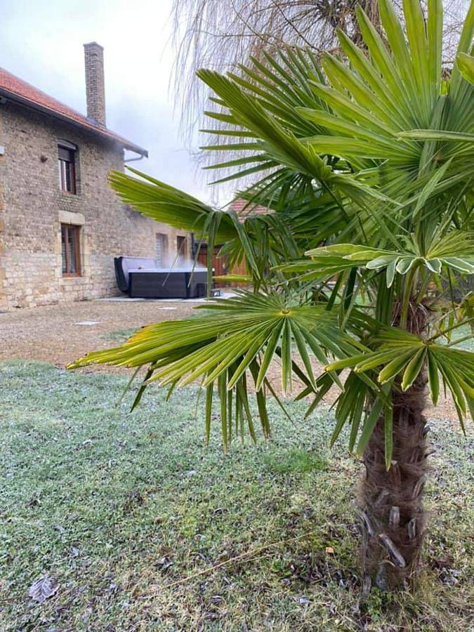 Double Room in Grivy-Loisy, Ardennes