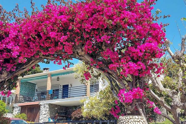 Holiday home for 6 people, with garden and terrace - 1