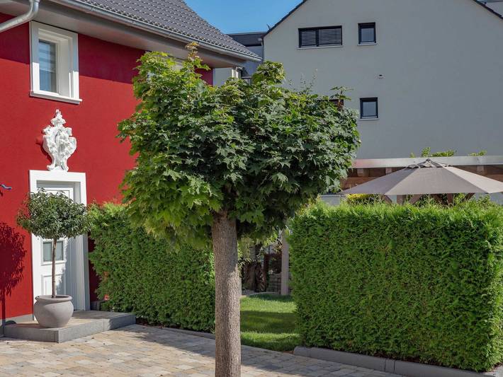 Ferienhaus für 4 Personen, mit Terrasse und Garten in Markdorf