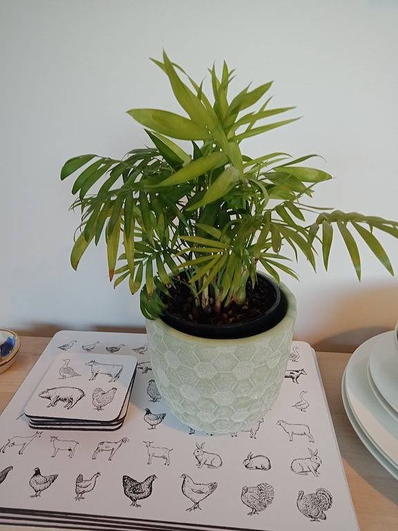 Ganze Wohnung, Studio Solaris - Cute & Cosy in Daylesford, Hepburn Shire