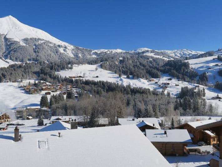 Ganze Wohnung, Silberdistel in Lauenen b. Gstaad, Lauenen