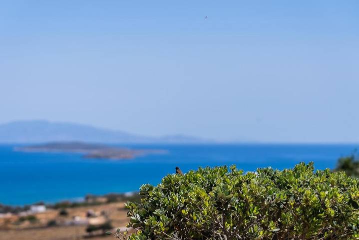 Location de vacances pour 4 personnes, avec jardin et vue dans Antiparos Ville - 3