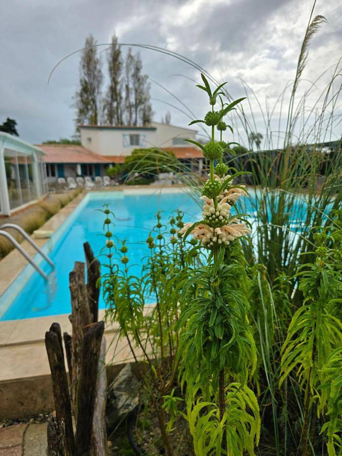 Hôtel pour 2 personnes, avec piscine et jardin dans Bac du sauvage - 2