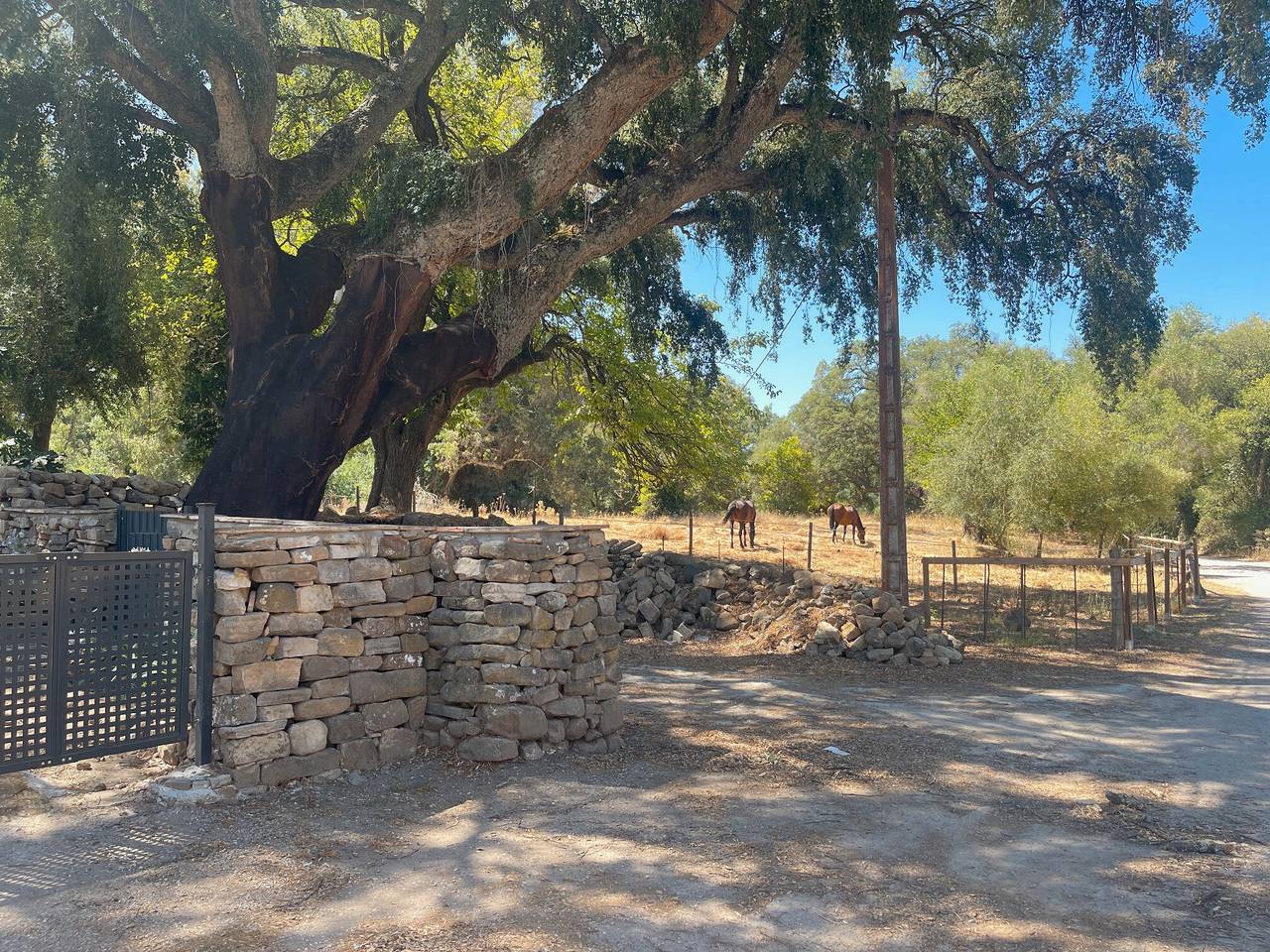 Chalet 'Finca El Búho Oak Natural Park' with Sea Views, Wi-Fi and Air Conditioning in Jimena de la Frontera, Los Alcornocales