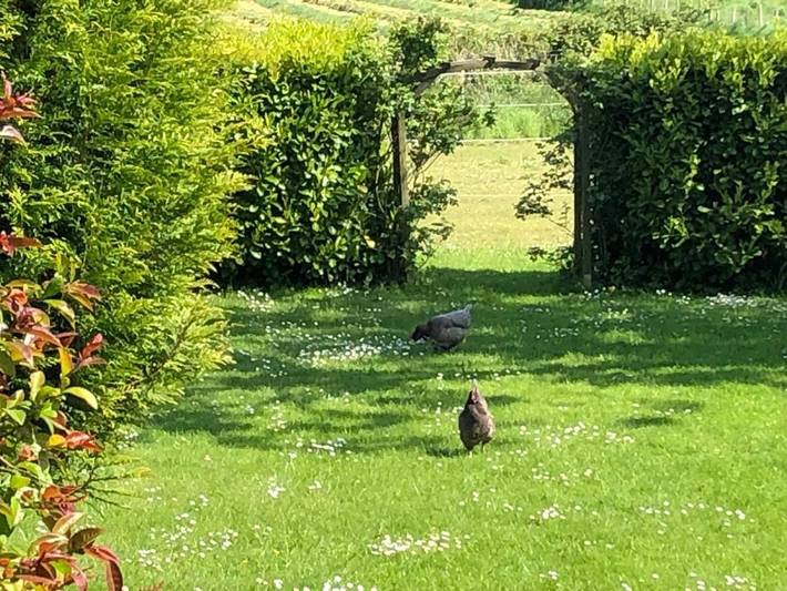 Location de vacances pour 16 personnes, avec jardin et vue à Saint-Josse - 3