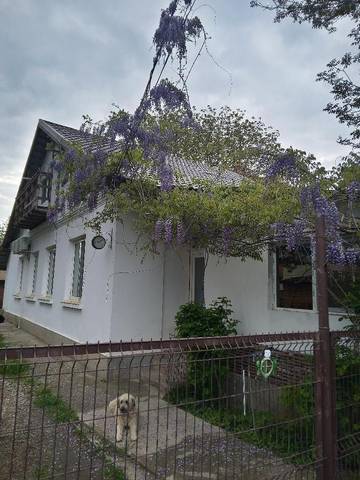 Gîte pour 5 personnes, avec jardin et piscine, animaux acceptés dans Giurgiu