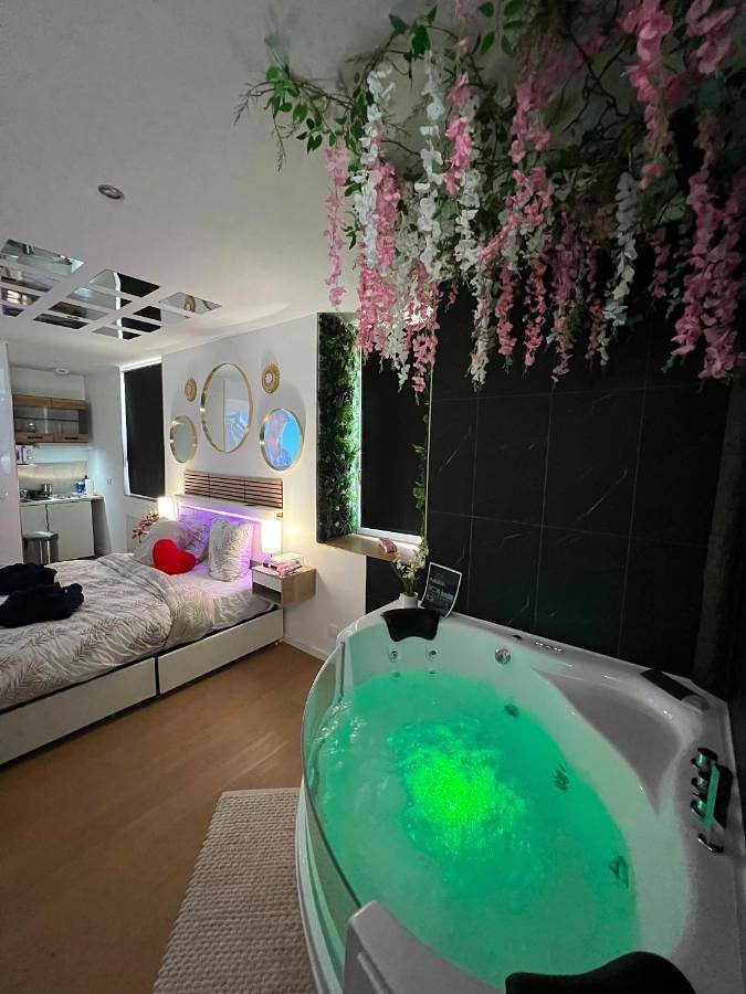 Appartement entier, Romance Jacuzzi - Vidéoprojecteur - Terrasse 5min gare in Ploumagoar, Région de Guingamp
