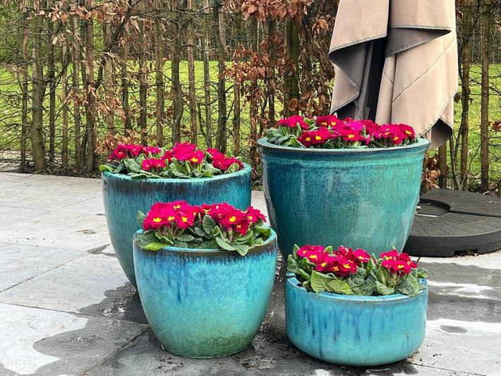 Gîte pour 2 personnes, avec piscine ainsi que vue et jardin, adapté aux familles à Genk - 4