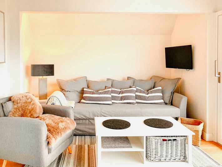 Ferienhaus für 4 Personen, mit Terrasse, mit Haustier in Großenbrode - 3