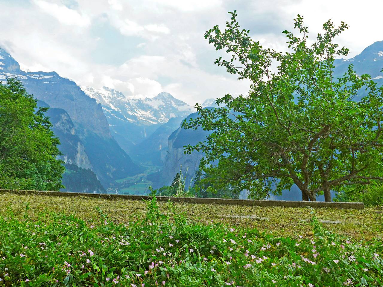 Appartement entier, Helene Apt. Hella in Wengen, Lauterbrunnen