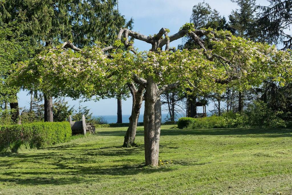 Park Place ist ein sauberes und komfortables Haus mit eigenem Weg zum Strand in Clallam County