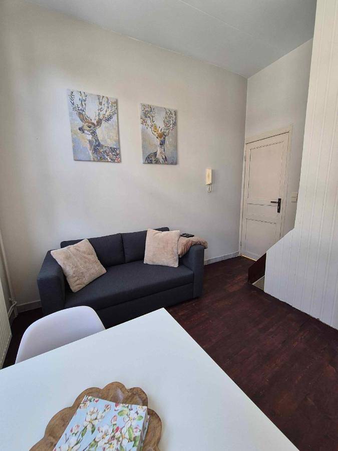 Appartement de vacances entier, Petit studio dans la rue du Château in Chimay, Hainaut