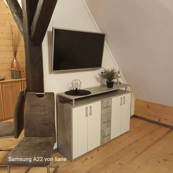 Ganze Wohnung, Ferienwohnung 'Haus Beim Schloß' mit privater Terrasse, Wlan und Klimaanlage in Mildenitz, Mecklenburg-Strelitz