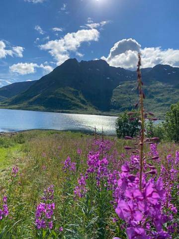 Ferienhaus für 7 Personen, mit Ausblick und Garten auf den Lofoten - 3